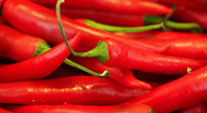 chilli-pepper-for-blog